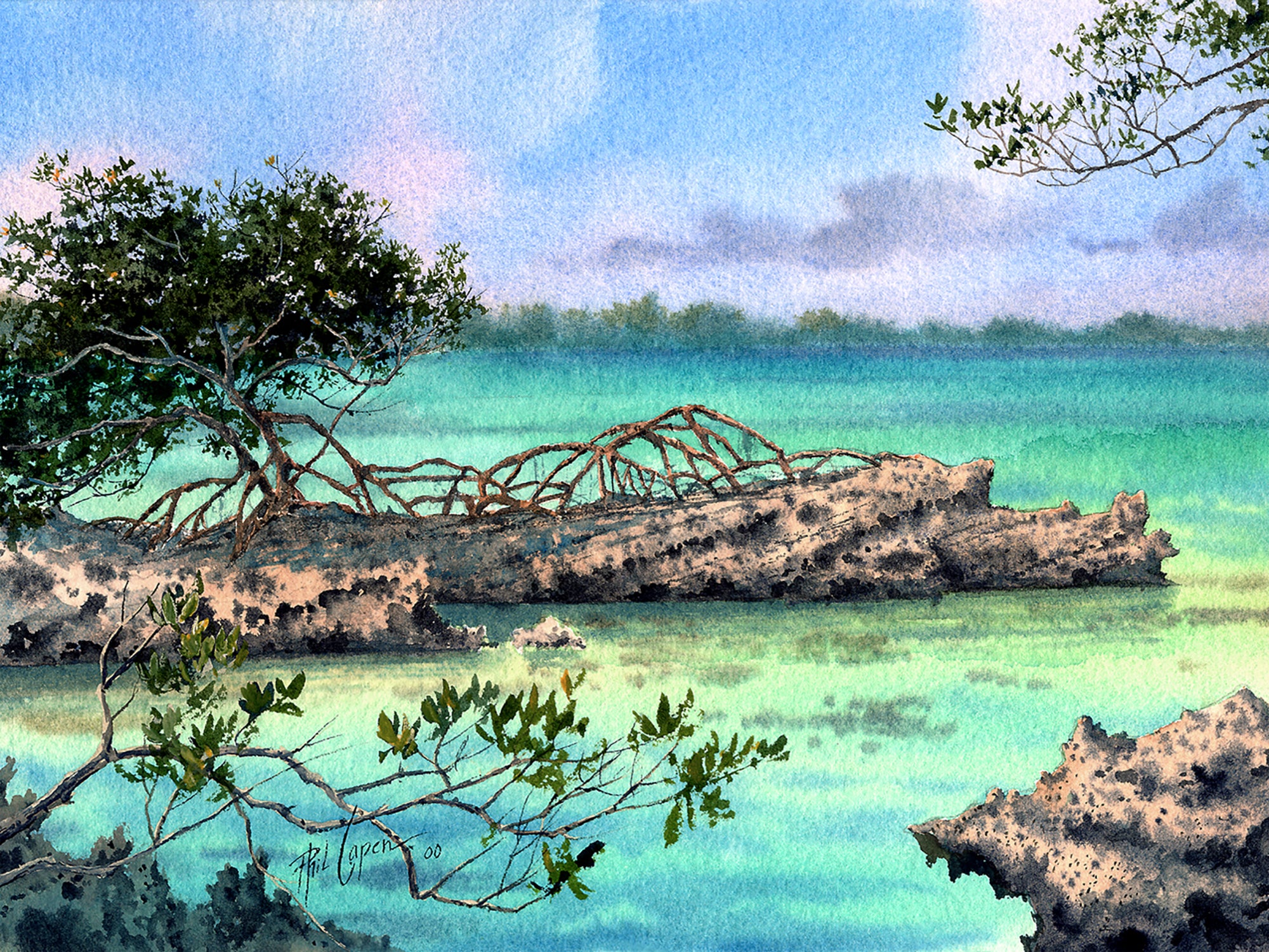 Mangrove on the Rocks – Phil Capen Art