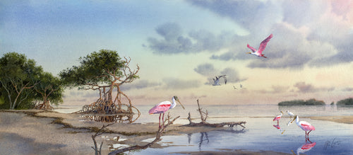 Roseate Spoonbills at Dawn