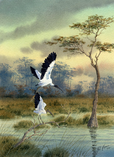 Woodstorks