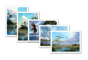 Note Cards:  Florida Birds - Shipping is FREE!